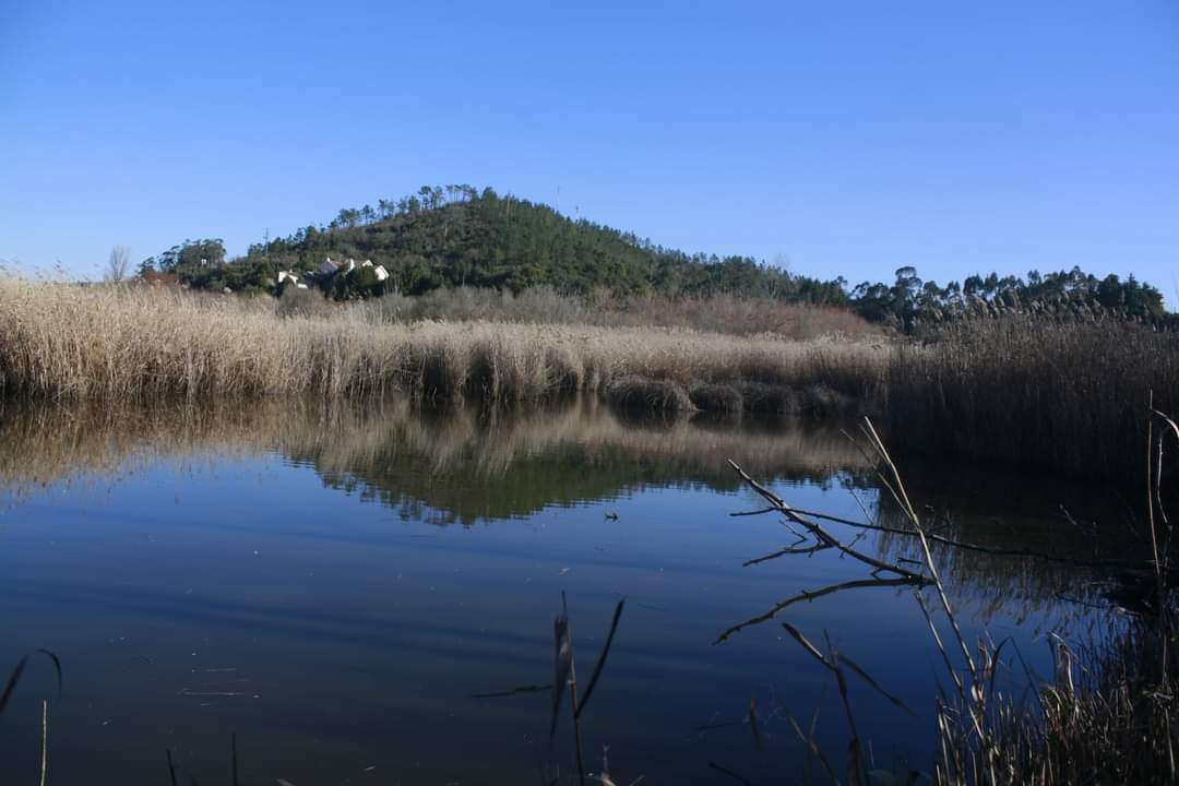 foto-natureza