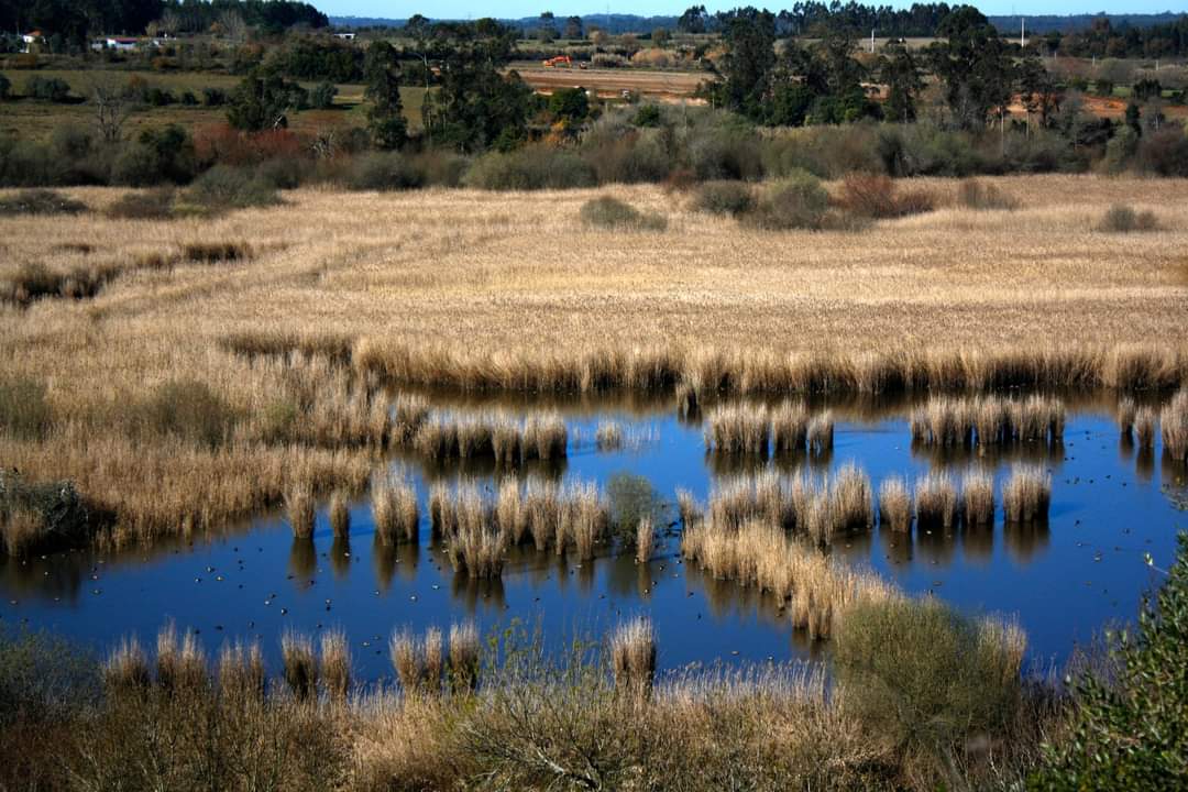 foto-natureza