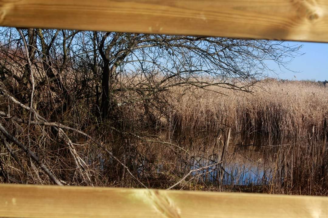 foto-natureza