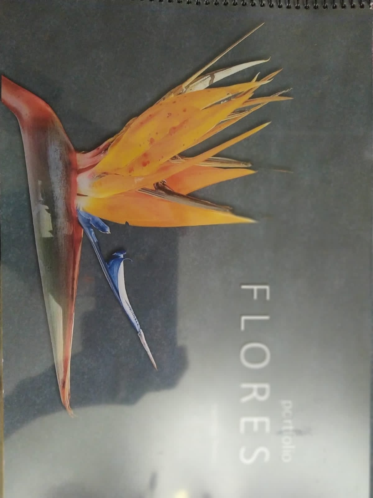 foto-portflores