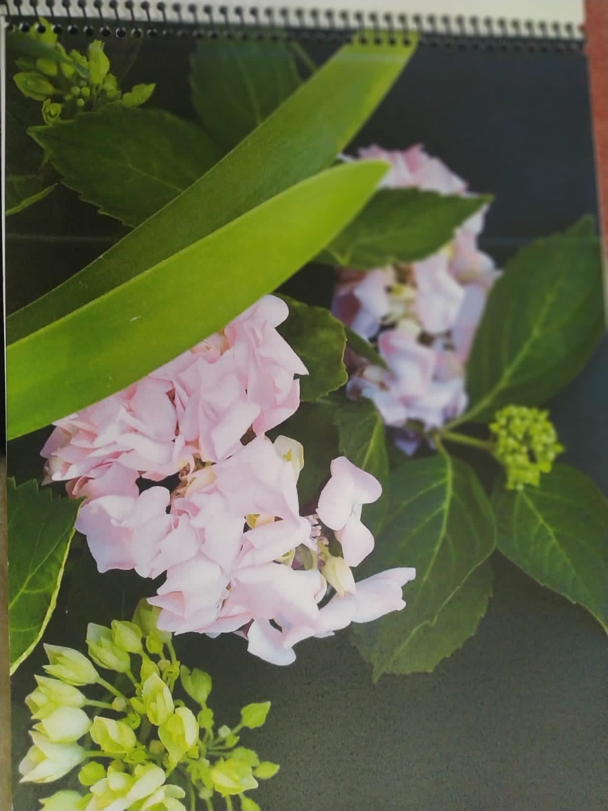 foto-portflores